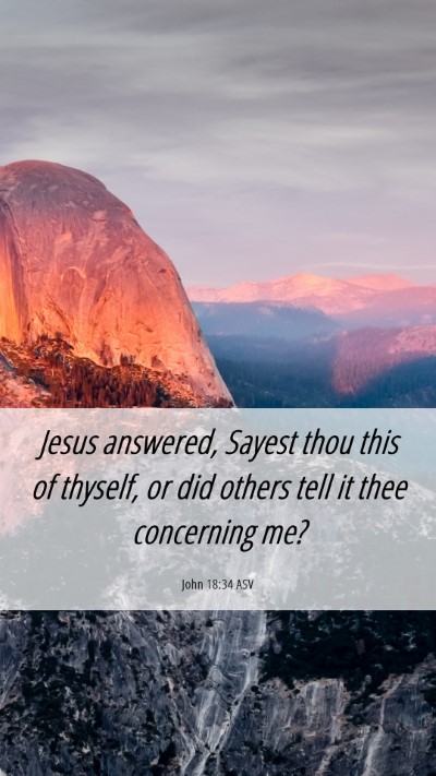 Picture 06 - John 18:34 ASV Mobile Phone Wallpaper - Jesus answered, Sayest thou this of thyself, or - Mobile Bible Verse Wallpaper