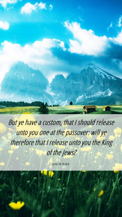 Picture 06 - John 18:39 ASV Mobile Phone Wallpaper - But ye have a custom, that I should release unto - Mobile Bible Verse Wallpaper
