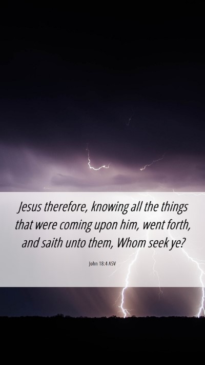 Picture 06 - John 18:4 ASV Mobile Phone Wallpaper - Jesus therefore, knowing all the things that were - Mobile Bible Verse Wallpaper