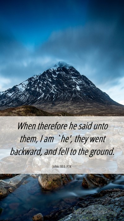 Picture 06 - John 18:6 ASV Mobile Phone Wallpaper - When therefore he said unto them, I am `he', they - Mobile Bible Verse Wallpaper