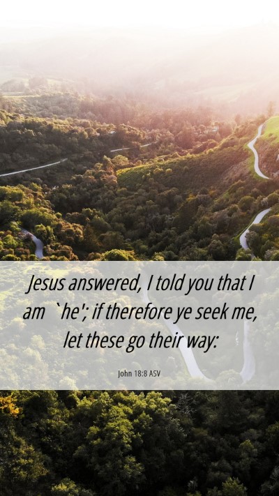 Picture 06 - John 18:8 ASV Mobile Phone Wallpaper - Jesus answered, I told you that I am `he'; if - Mobile Bible Verse Wallpaper