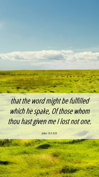 Picture 06 - John 18:9 ASV Mobile Phone Wallpaper - that the word might be fulfilled which he spake, - Mobile Bible Verse Wallpaper
