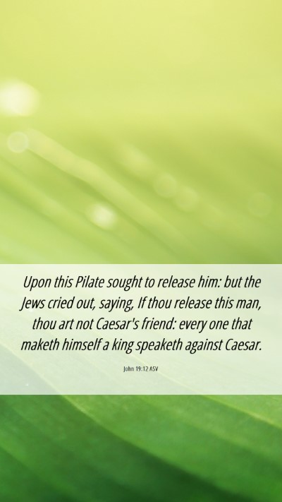 Picture 06 - John 19:12 ASV Mobile Phone Wallpaper - Upon this Pilate sought to release him: but the - Mobile Bible Verse Wallpaper