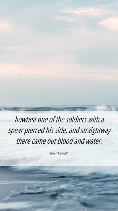 Picture 06 - John 19:34 ASV Mobile Phone Wallpaper - howbeit one of the soldiers with a spear pierced - Mobile Bible Verse Wallpaper