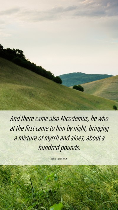 Picture 06 - John 19:39 ASV Mobile Phone Wallpaper - And there came also Nicodemus, he who at the - Mobile Bible Verse Wallpaper