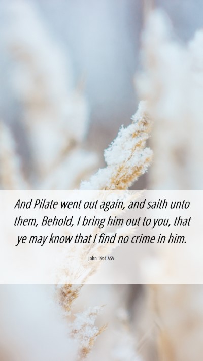 Picture 06 - John 19:4 ASV Mobile Phone Wallpaper - And Pilate went out again, and saith unto them, - Mobile Bible Verse Wallpaper