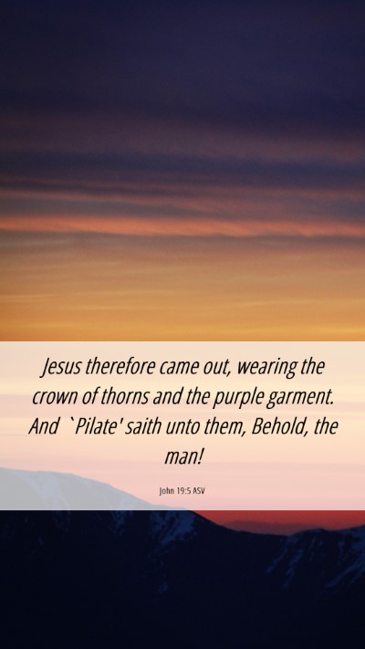 Picture 06 - John 19:5 ASV Mobile Phone Wallpaper - Jesus therefore came out, wearing the crown of - Mobile Bible Verse Wallpaper
