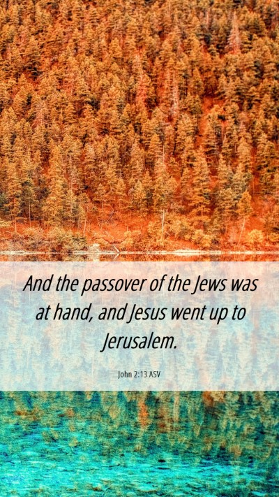 Picture 06 - John 2:13 ASV Mobile Phone Wallpaper - And the passover of the Jews was at hand, and - Mobile Bible Verse Wallpaper