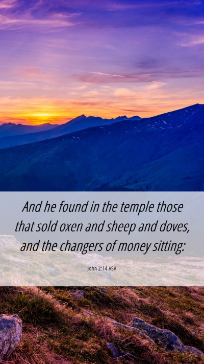 Picture 06 - John 2:14 ASV Mobile Phone Wallpaper - And he found in the temple those that sold oxen - Mobile Bible Verse Wallpaper