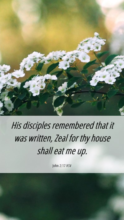 Picture 06 - John 2:17 ASV Mobile Phone Wallpaper - His disciples remembered that it was written, - Mobile Bible Verse Wallpaper