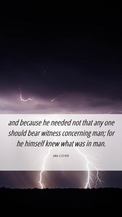 Picture 06 - John 2:25 ASV Mobile Phone Wallpaper - and because he needed not that any one should - Mobile Bible Verse Wallpaper