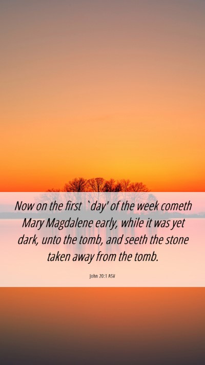 Picture 06 - John 20:1 ASV Mobile Phone Wallpaper - Now on the first `day' of the week cometh Mary - Mobile Bible Verse Wallpaper