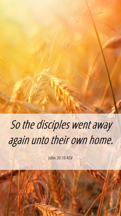 Picture 06 - John 20:10 ASV Mobile Phone Wallpaper - So the disciples went away again unto their own - Mobile Bible Verse Wallpaper