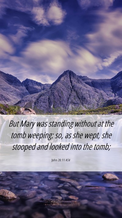 Picture 06 - John 20:11 ASV Mobile Phone Wallpaper - But Mary was standing without at the tomb - Mobile Bible Verse Wallpaper