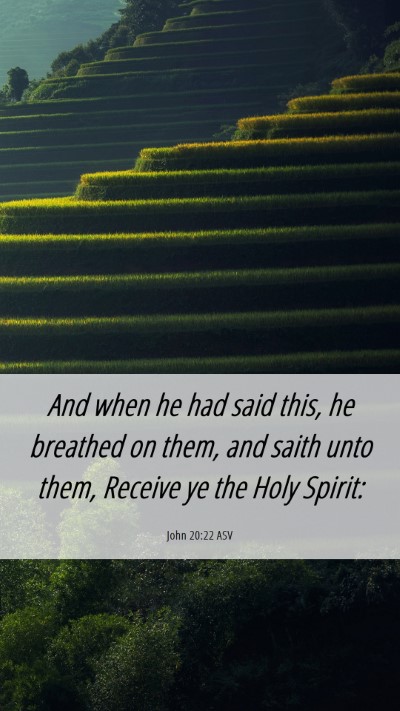 Picture 06 - John 20:22 ASV Mobile Phone Wallpaper - And when he had said this, he breathed on them, - Mobile Bible Verse Wallpaper