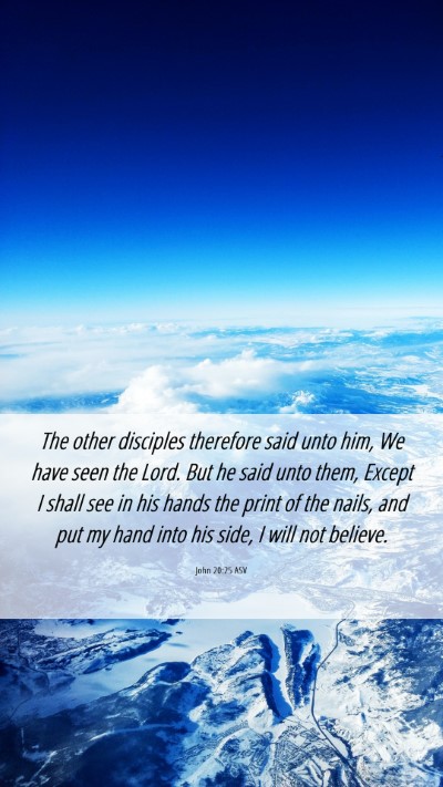 Picture 06 - John 20:25 ASV Mobile Phone Wallpaper - The other disciples therefore said unto him, We - Mobile Bible Verse Wallpaper