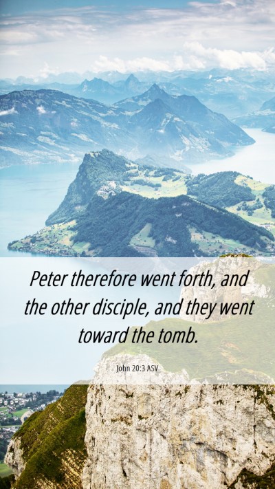 Picture 06 - John 20:3 ASV Mobile Phone Wallpaper - Peter therefore went forth, and the other - Mobile Bible Verse Wallpaper