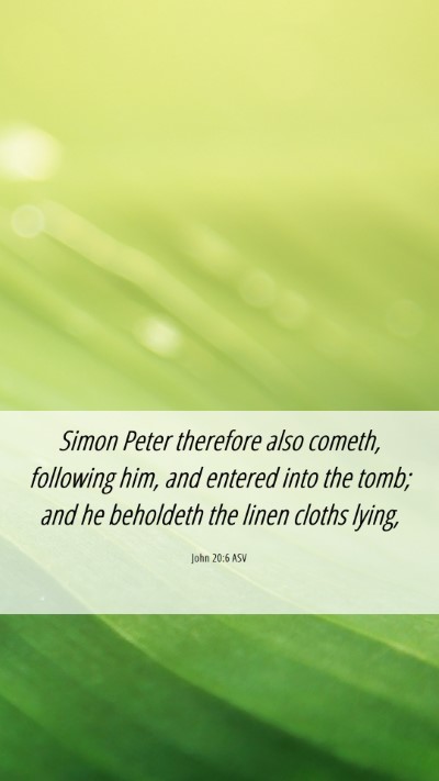 Picture 06 - John 20:6 ASV Mobile Phone Wallpaper - Simon Peter therefore also cometh, following him, - Mobile Bible Verse Wallpaper