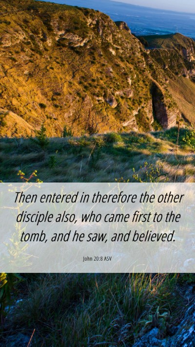 Picture 06 - John 20:8 ASV Mobile Phone Wallpaper - Then entered in therefore the other disciple - Mobile Bible Verse Wallpaper