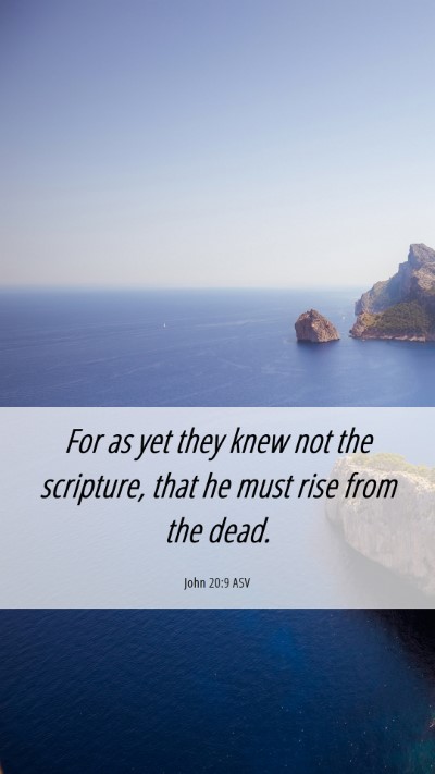 Picture 06 - John 20:9 ASV Mobile Phone Wallpaper - For as yet they knew not the scripture, that he - Mobile Bible Verse Wallpaper