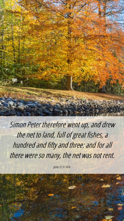 Picture 06 - John 21:11 ASV Mobile Phone Wallpaper - Simon Peter therefore went up, and drew the net - Mobile Bible Verse Wallpaper
