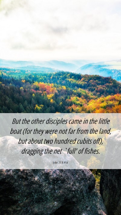 Picture 06 - John 21:8 ASV Mobile Phone Wallpaper - But the other disciples came in the little boat - Mobile Bible Verse Wallpaper