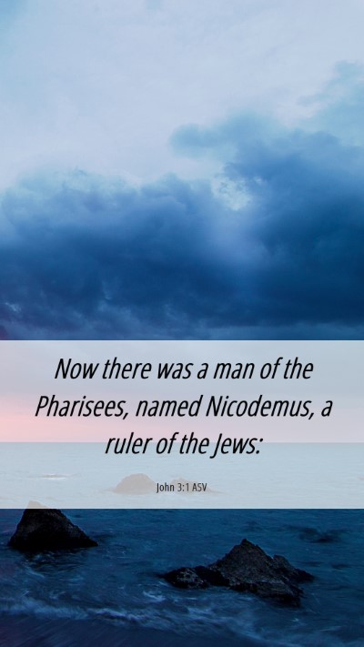 Picture 06 - John 3:1 ASV Mobile Phone Wallpaper - Now there was a man of the Pharisees, named - Mobile Bible Verse Wallpaper