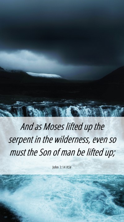 Picture 06 - John 3:14 ASV Mobile Phone Wallpaper - And as Moses lifted up the serpent in the - Mobile Bible Verse Wallpaper
