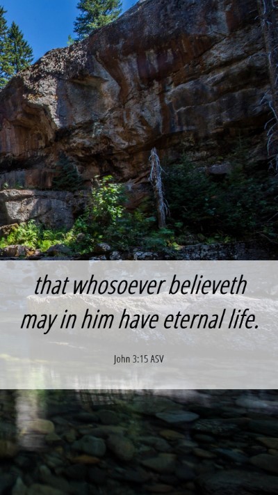 Picture 06 - John 3:15 ASV Mobile Phone Wallpaper - that whosoever believeth may in him have eternal - Mobile Bible Verse Wallpaper