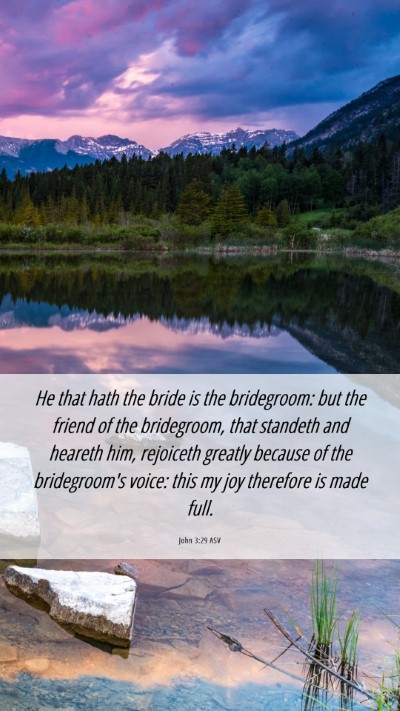 Picture 06 - John 3:29 ASV Mobile Phone Wallpaper - He that hath the bride is the bridegroom: but the - Mobile Bible Verse Wallpaper