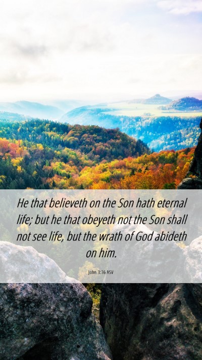 Picture 06 - John 3:36 ASV Mobile Phone Wallpaper - He that believeth on the Son hath eternal life; - Mobile Bible Verse Wallpaper