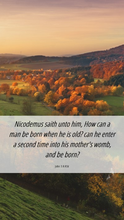 Picture 06 - John 3:4 ASV Mobile Phone Wallpaper - Nicodemus saith unto him, How can a man be born - Mobile Bible Verse Wallpaper