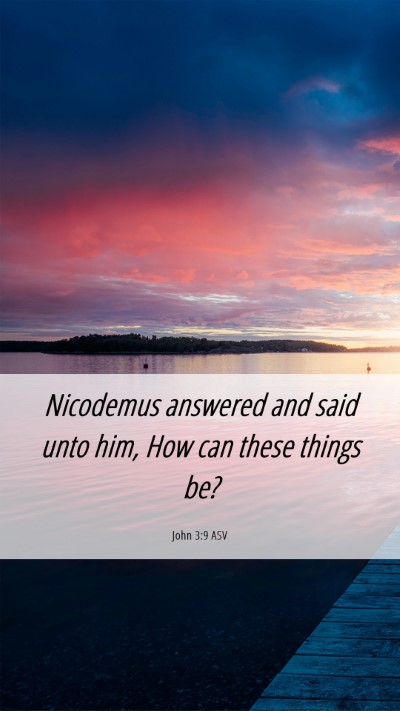 Picture 06 - John 3:9 ASV Mobile Phone Wallpaper - Nicodemus answered and said unto him, How can - Mobile Bible Verse Wallpaper