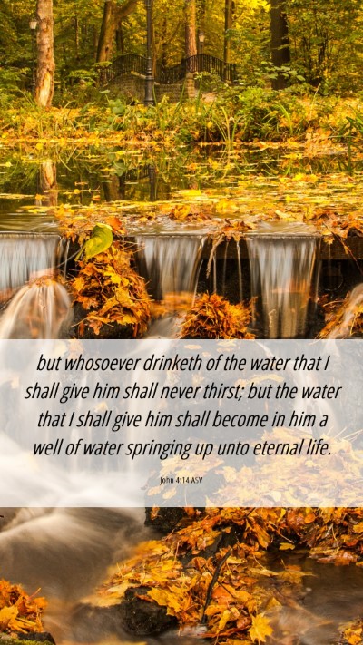 Picture 06 - John 4:14 ASV Mobile Phone Wallpaper - but whosoever drinketh of the water that I shall - Mobile Bible Verse Wallpaper