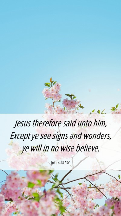 Picture 06 - John 4:48 ASV Mobile Phone Wallpaper - Jesus therefore said unto him, Except ye see - Mobile Bible Verse Wallpaper