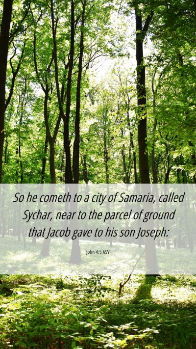 Picture 06 - John 4:5 ASV Mobile Phone Wallpaper - So he cometh to a city of Samaria, called Sychar, - Mobile Bible Verse Wallpaper
