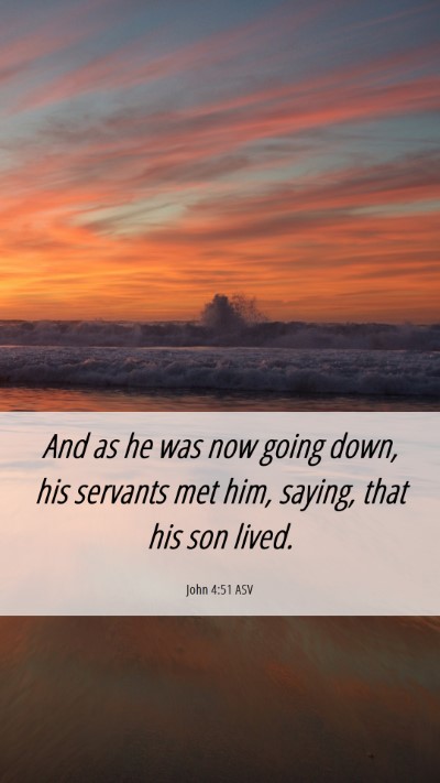 Picture 06 - John 4:51 ASV Mobile Phone Wallpaper - And as he was now going down, his servants met - Mobile Bible Verse Wallpaper