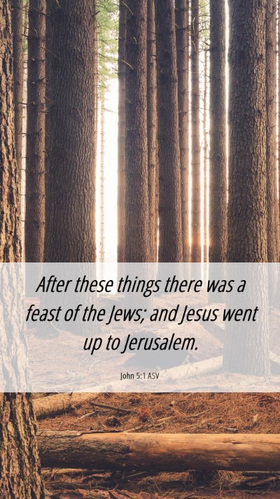 Picture 06 - John 5:1 ASV Mobile Phone Wallpaper - After these things there was a feast of the Jews; - Mobile Bible Verse Wallpaper