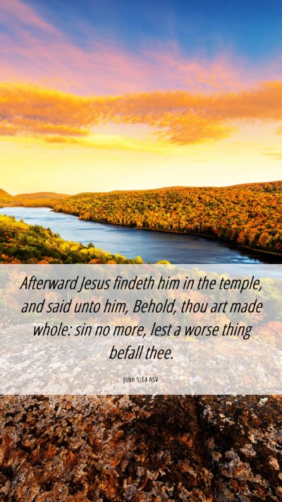 Picture 06 - John 5:14 ASV Mobile Phone Wallpaper - Afterward Jesus findeth him in the temple, and - Mobile Bible Verse Wallpaper
