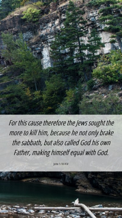 Picture 06 - John 5:18 ASV Mobile Phone Wallpaper - For this cause therefore the Jews sought the more - Mobile Bible Verse Wallpaper