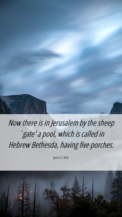 Picture 06 - John 5:2 ASV Mobile Phone Wallpaper - Now there is in Jerusalem by the sheep `gate' a - Mobile Bible Verse Wallpaper