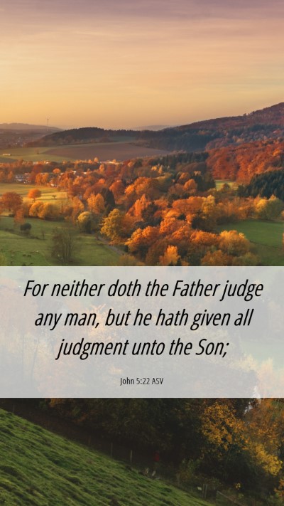Picture 06 - John 5:22 ASV Mobile Phone Wallpaper - For neither doth the Father judge any man, but he - Mobile Bible Verse Wallpaper