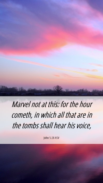 Picture 06 - John 5:28 ASV Mobile Phone Wallpaper - Marvel not at this: for the hour cometh, in which - Mobile Bible Verse Wallpaper