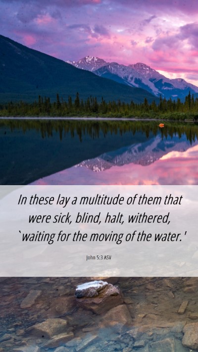 Picture 06 - John 5:3 ASV Mobile Phone Wallpaper - In these lay a multitude of them that were sick, - Mobile Bible Verse Wallpaper