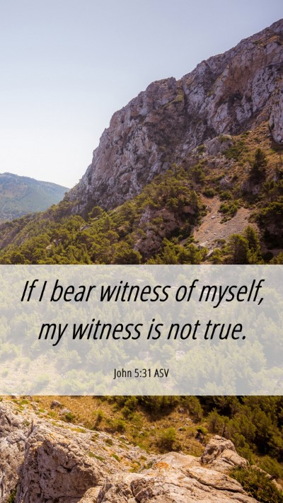 Picture 06 - John 5:31 ASV Mobile Phone Wallpaper - If I bear witness of myself, my witness is not - Mobile Bible Verse Wallpaper