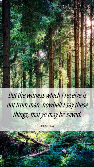 Picture 06 - John 5:34 ASV Mobile Phone Wallpaper - But the witness which I receive is not from man: - Mobile Bible Verse Wallpaper
