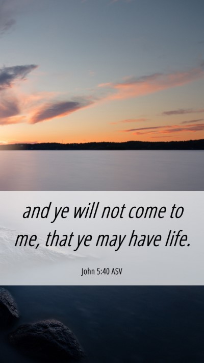 Picture 06 - John 5:40 ASV Mobile Phone Wallpaper - and ye will not come to me, that ye may have - Mobile Bible Verse Wallpaper