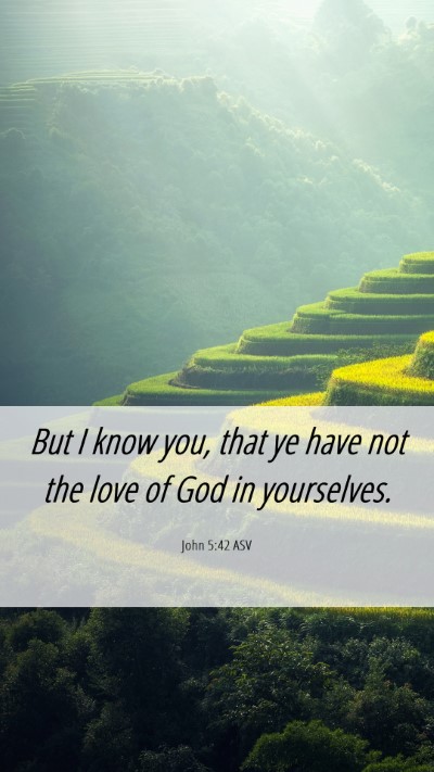 Picture 06 - John 5:42 ASV Mobile Phone Wallpaper - But I know you, that ye have not the love of God - Mobile Bible Verse Wallpaper