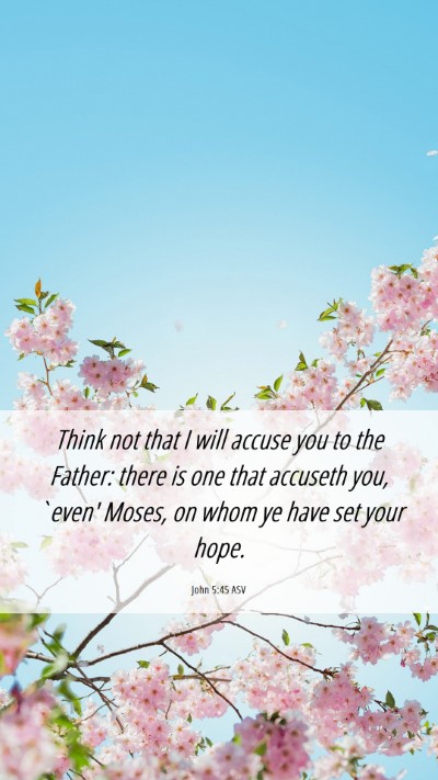 Picture 06 - John 5:45 ASV Mobile Phone Wallpaper - Think not that I will accuse you to the Father: - Mobile Bible Verse Wallpaper