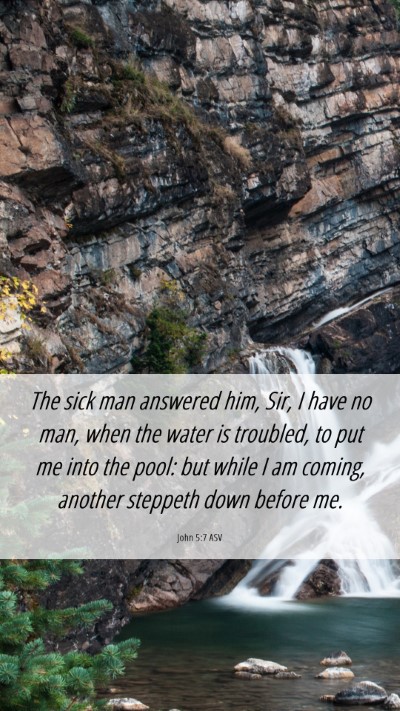 Picture 06 - John 5:7 ASV Mobile Phone Wallpaper - The sick man answered him, Sir, I have no man, - Mobile Bible Verse Wallpaper